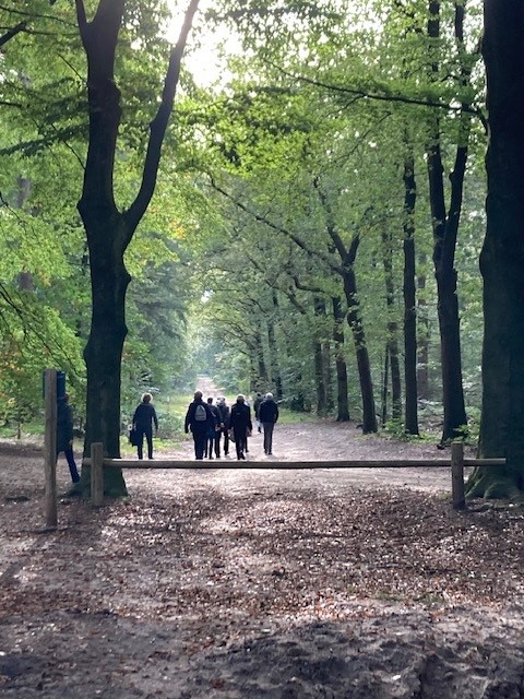 Geologiewandeling 18 Okt Iii Geopark Heuvelrug Gooi En Vecht