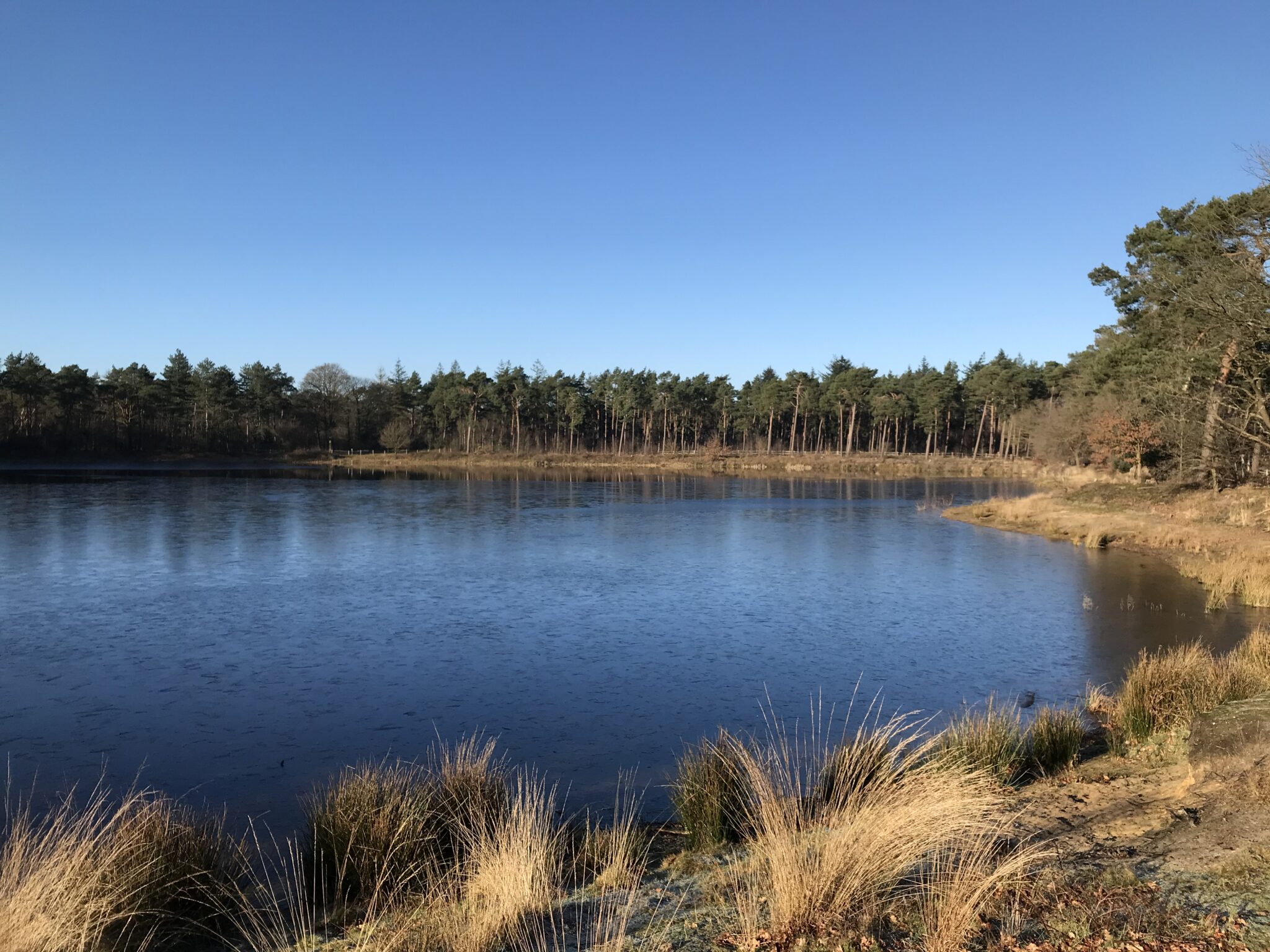 Geoparkhgv Den Treek Hazewater 2 Geopark Heuvelrug Gooi En Vecht